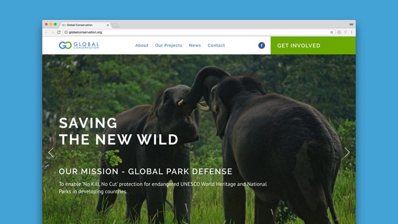 Website usability and SEO in Global Conservation website
