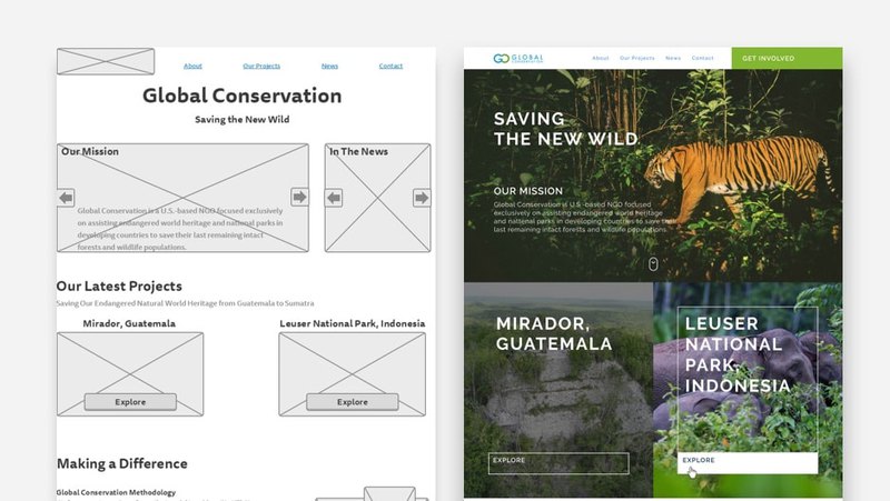 Prototype for Global Conservation website