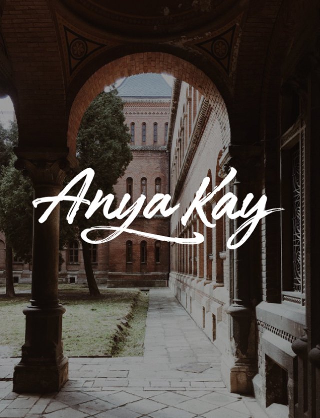 Anya Kay logo variants of view