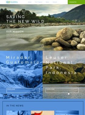 Different versions to design Version 2 | Global Conservation