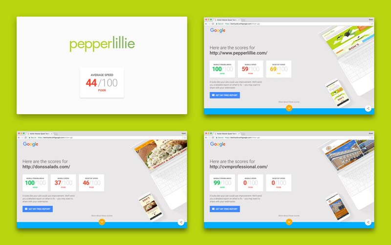 Page speed test of first websites from Pepper Lillie