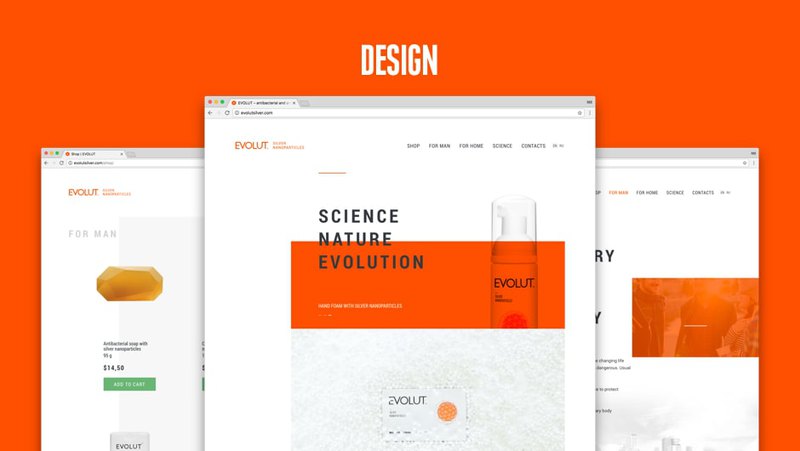 Design step in web design process for Evolut Silver