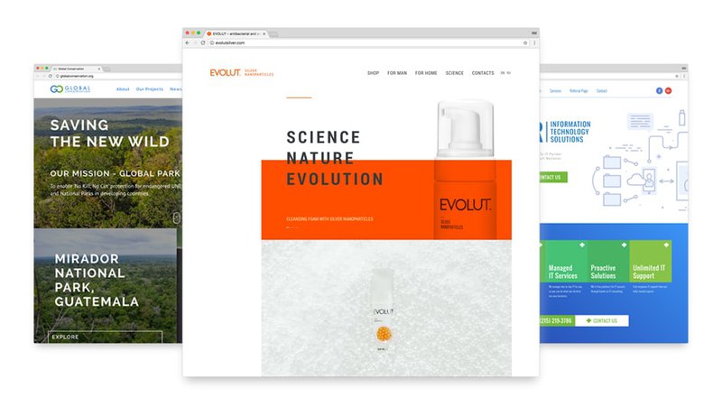 Custom web design for Global Conservation, Evolut and AOR