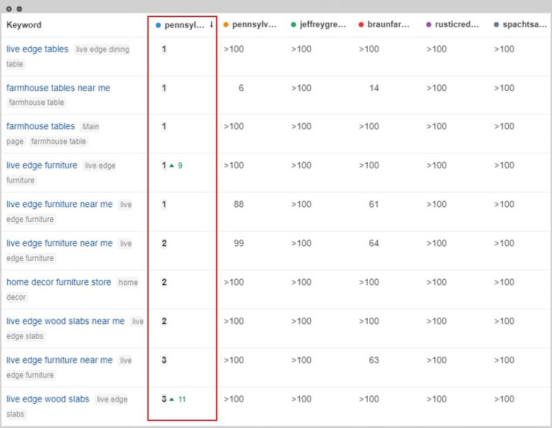 comparison chart displaying SERP positions of competing websites with different queries 