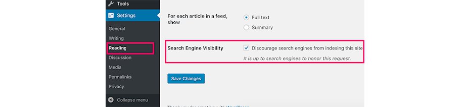 screenshot of site settings set for discouraging search engines from indexing