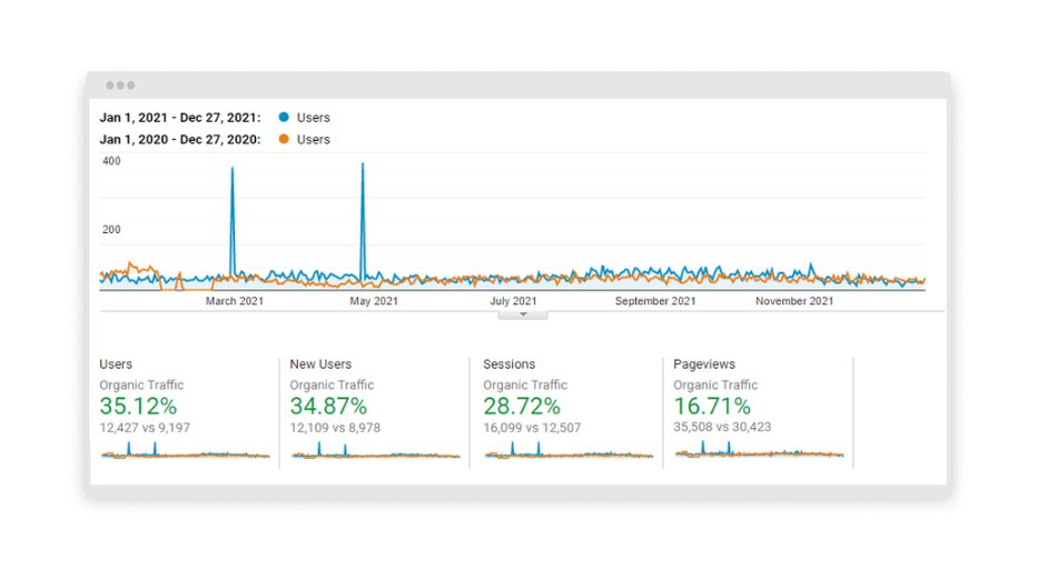 graphs that show how much the number of users visiting client’s site has grown