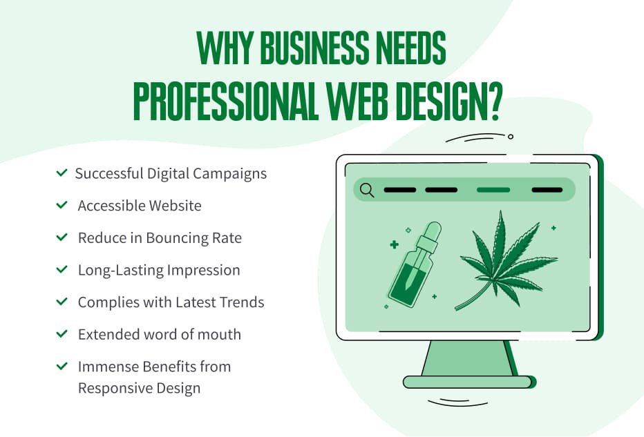 Infographic saying "Why Business Needs Professional Web Design?" in the context of cannabis web design