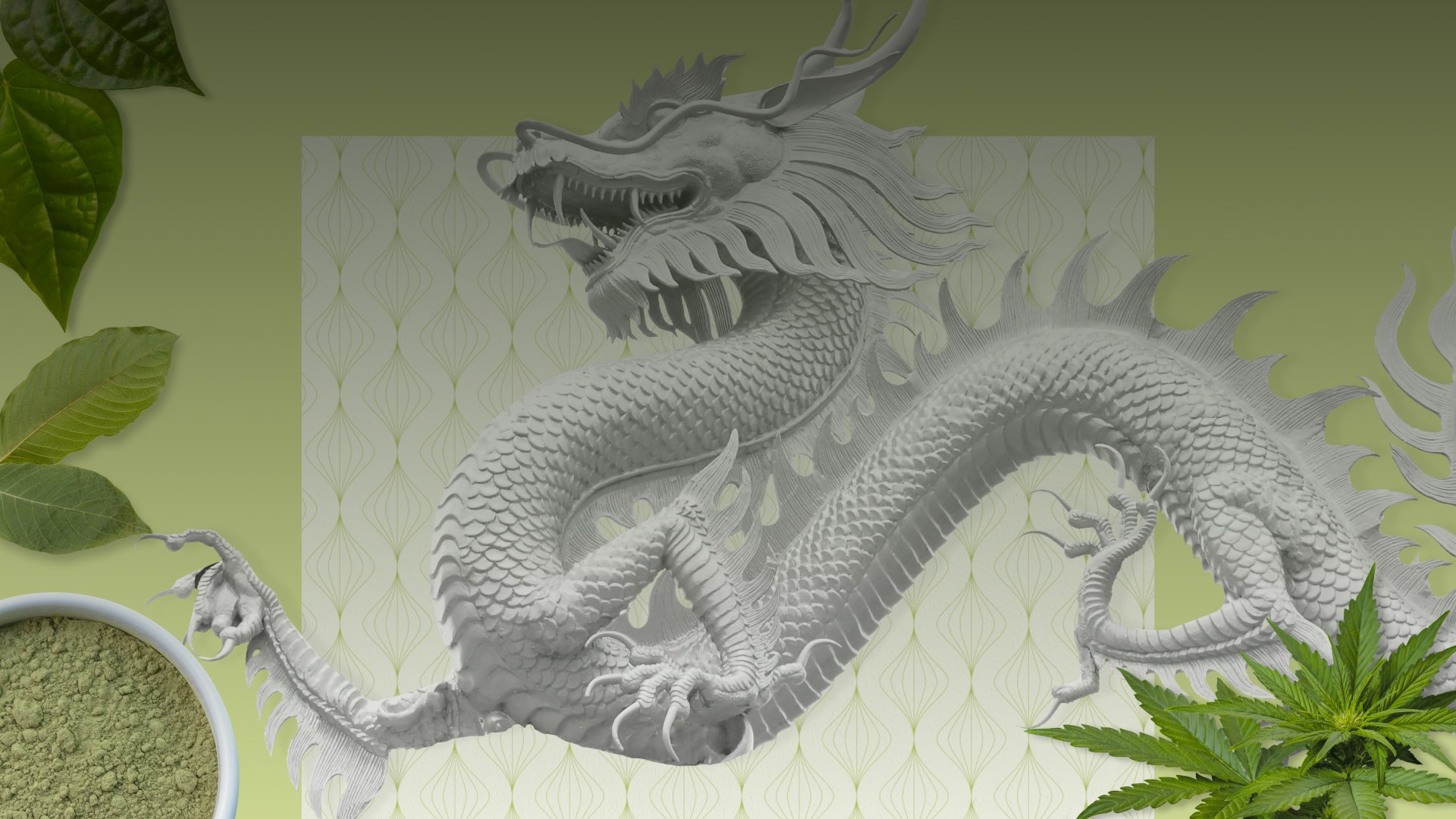 Background for White Dragon Botanicals Responsive website Case