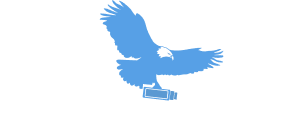Logo Eagle Eye Video Surveillance, LLC